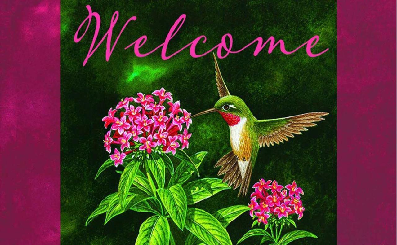 Hummingbird Retreat - Luxury Oceanview Apt, 7-Minute Walk To Beach 오쵸 리오스 외부 사진