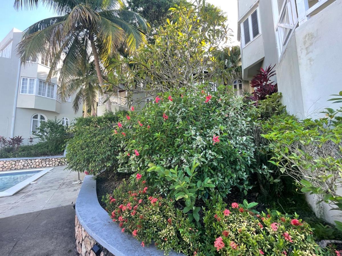 Hummingbird Retreat - Luxury Oceanview Apt, 7-Minute Walk To Beach 오쵸 리오스 외부 사진