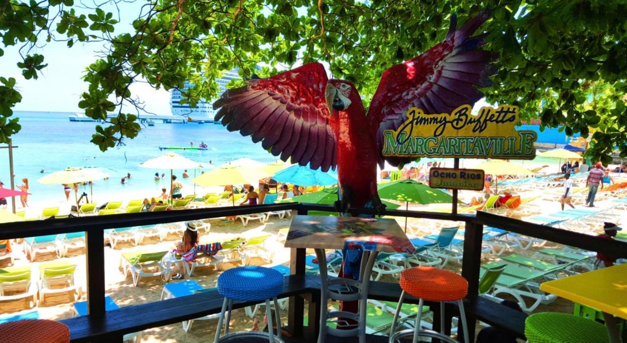 Hummingbird Retreat - Luxury Oceanview Apt, 7-Minute Walk To Beach 오쵸 리오스 외부 사진