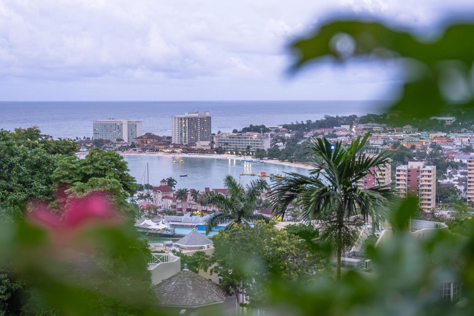 Hummingbird Retreat - Luxury Oceanview Apt, 7-Minute Walk To Beach 오쵸 리오스 외부 사진